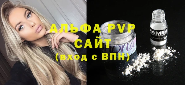 шишки Алзамай