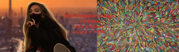 шишки Алзамай