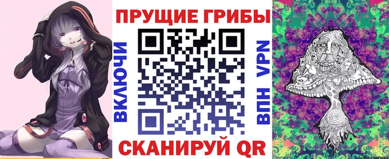 Галлюциногенные грибы Psilocybine cubensis  Бежецк 
